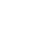 LOGO 150