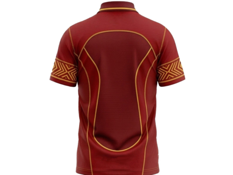 POLO 02x copy
